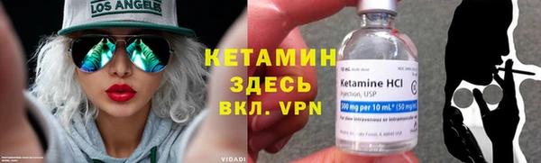 мет Дмитров