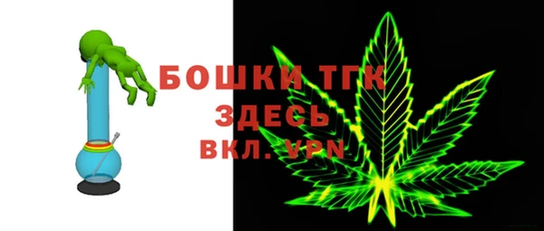 винт Дмитриев