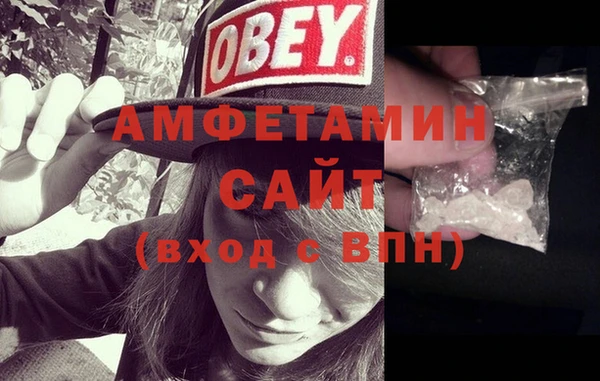 шишки Дмитровск
