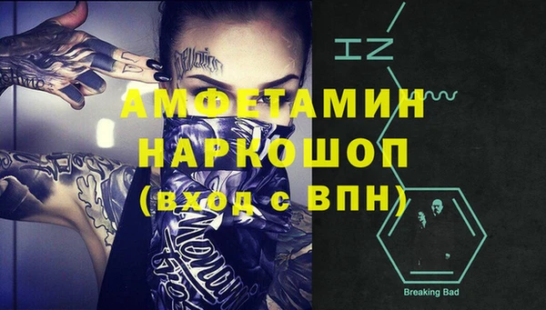 шишки Дмитровск