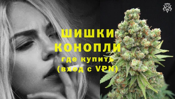 мет Дмитров