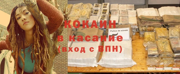 шишки Дмитровск