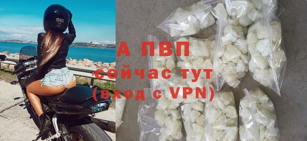 винт Дмитриев