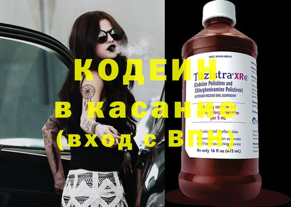 шишки Дмитровск