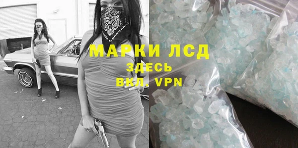 шишки Дмитровск
