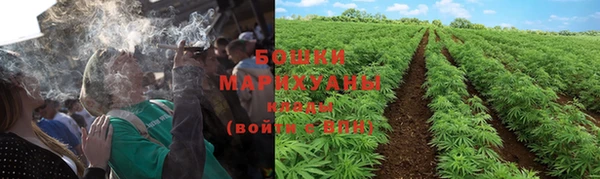 мет Дмитров