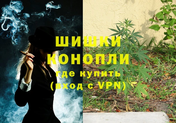 шишки Дмитровск